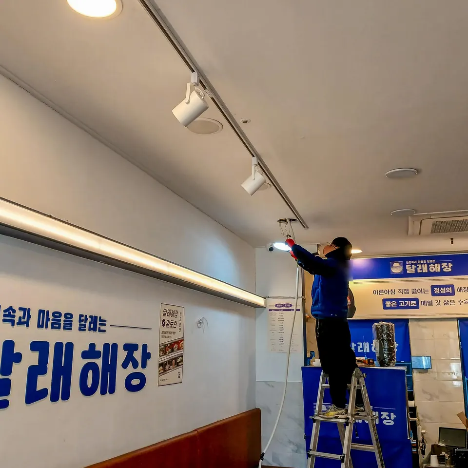 사다리에 올라 레일 조명을 설치하는 식당 내부 작업